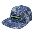 画像1: ＊SALE＊【MIGHTY HEALTHY】 INDIGO PALMS 5 PANEL CAP (1)