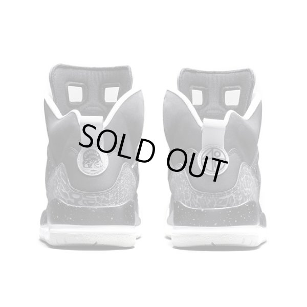 画像4: 【NIKE】 NIKE AIR JORDAN SPIZ'IKE (4)