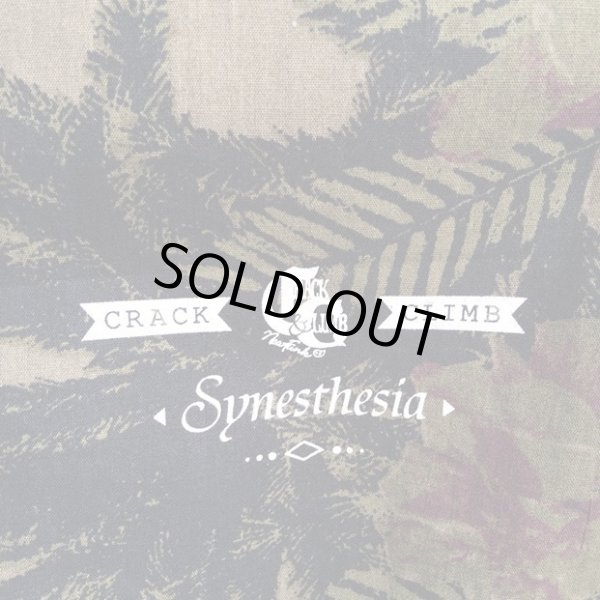 画像4: 【CRACKLIMB】 Don't Stop Keep Going SHIRT (ALOH) (4)