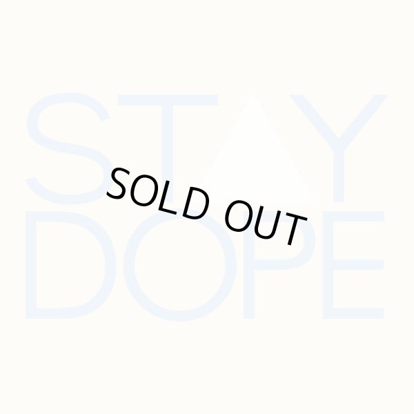 画像5: 【PEAK▲HOUR】 PE▲K HOUR 6 PANEL CAP (SAND×NAVY) (5)