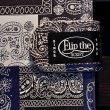 画像4: 【FLIP THE SCRIPT】 P.BANDANA iPhone CASE [type6 / 6s] (4)