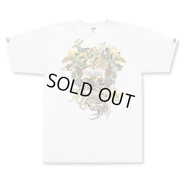 画像5: 【CROOKS&CASTLES】 MEDUSA CREW TEE (5)
