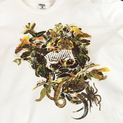 画像1: 【CROOKS&CASTLES】 MEDUSA CREW TEE