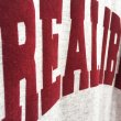 画像3: 【LIBE BRAND】 REALIBE COLLEGE TEE (3)