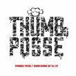 画像1: THUMBs POSSE (ST-LOW+SKRILL+KDT) 『HANDTHUMB SK"ILL EP』 (CD-R) (1)