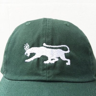 画像1: 【CRACKLIMB】 BLACK PANTHER 6 PANEL CAP (D.GRN)