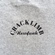 画像4: 【CRACKLIMB】 ILL MIND BASEBALL TEE (4)