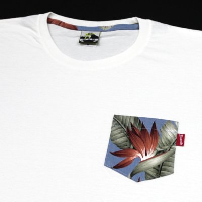 画像1: 【RIVAXIDE】 RIVAXIDE 'Strelitzia Pocket' T-shirt (WHITE)
