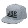 画像1: 【LIBE BRAND×QP】 QP BIG LOGO B.B CAP (GRAY) (1)