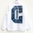 画像1: ＊SALE＊【CRACKLIMB】EYEWASH NYLON JACKET (WHITE) (1)