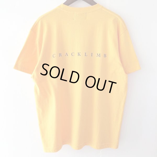 画像2: 【CRACKLIMB】PAISLEY SKULL TEE (GOLD) (2)