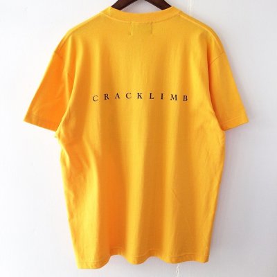 画像1: 【CRACKLIMB】PAISLEY SKULL TEE (GOLD)