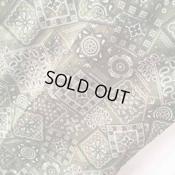 画像3: Green Paisley Shirt / size: XL (3)