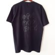 画像2: 【SQUARE】ROYAL VANITY T-Shirts (2)