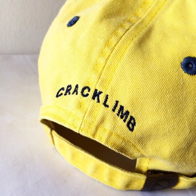 画像2: 【CRACKLIMB】BLACK PANTHER 6 PANEL CAP (YELLOW)
