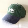 画像1: 【CRACKLIMB】BLACK PANTHER 6 PANEL CAP (GREEN) (1)