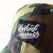 画像5: 【CRACKLIMB】NEWFUNK ORIGINALS 6 PANEL CAP (CAMO) (5)