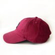 画像2: 【NEWFUNK】NF TAG 6 PANEL CAP (WINE) (2)