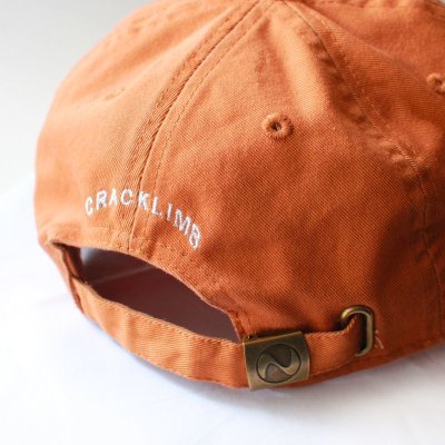 画像2: 【NEWFUNK】NF BOX LOGO 6 PANEL CAP (BROWN)