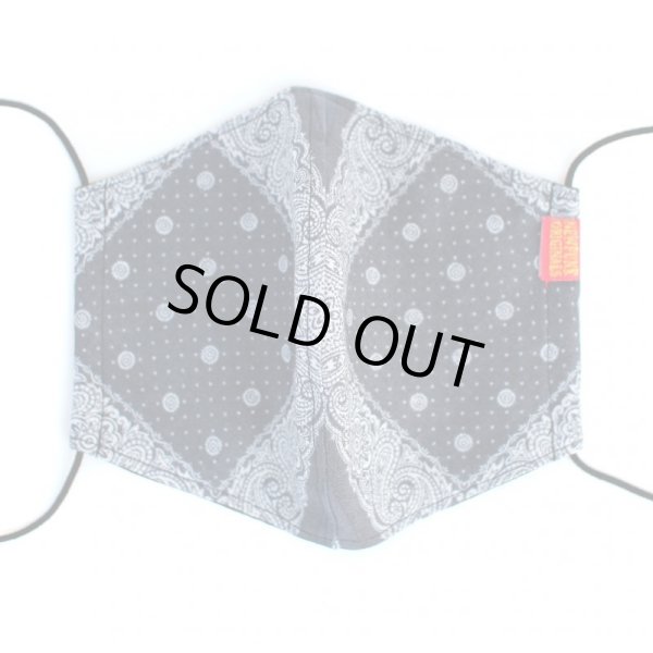 画像2: 【NEWFUNK】PAISLEY MASK [クールメッシュ] (C) (2)