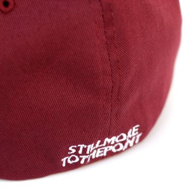 画像3: 【NEWFUNK】NF B.B CAP (WINERED)