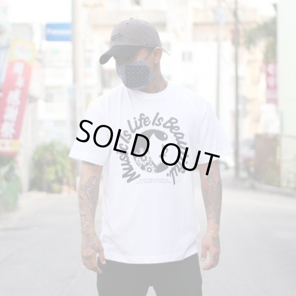 画像5: 【NEWFUNK】PAISLEY MASK [クールメッシュ] (D) (5)