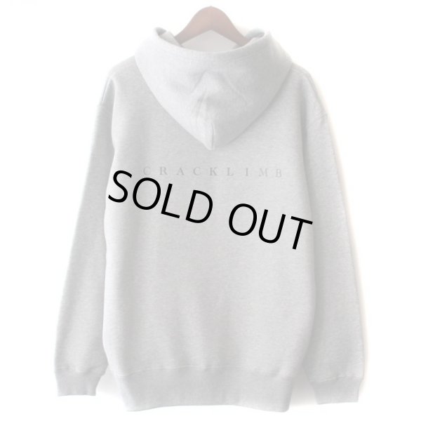 画像2: 【NEWFUNK】Freshman HOODIE (GRAY) (2)