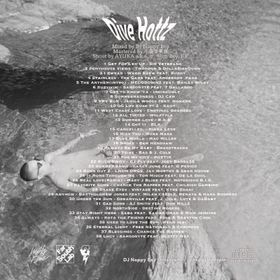 画像1: DJ Nappy Boy 『Dive Hottz -MixCD-』(CD-R)