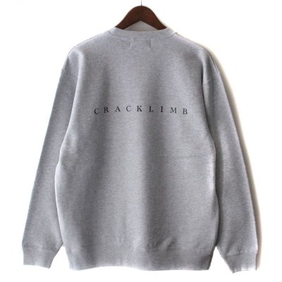 画像1: 【NEWFUNK】EXIT CREW NECK (GRAY)