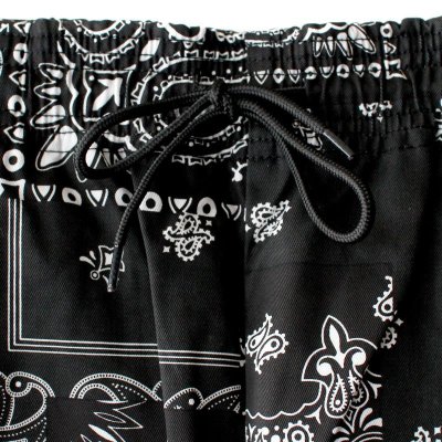 画像1: 【NEWFUNK】Paisley Easy Pants (Black)