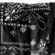 画像5: 【NEWFUNK】Paisley Easy Pants (Black) (5)