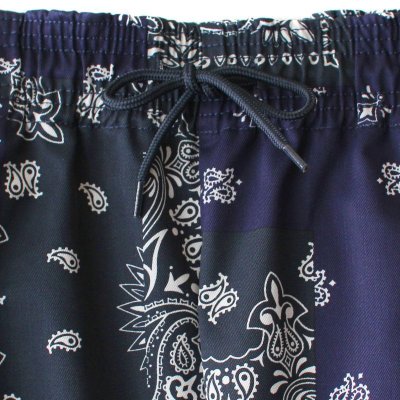 画像1: 【NEWFUNK】Paisley Easy Pants (Navy)