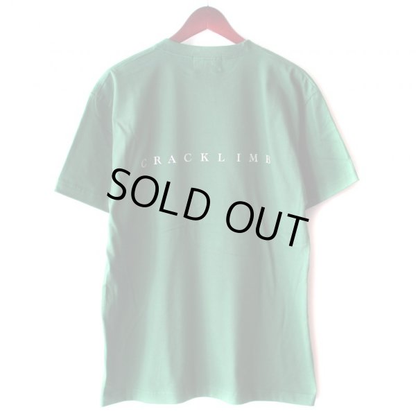 画像2: 【NEWFUNK】Freshman TEE (Ivy Green) (2)