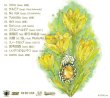 画像2: TORAUMA 『Sternbergia』 (2)