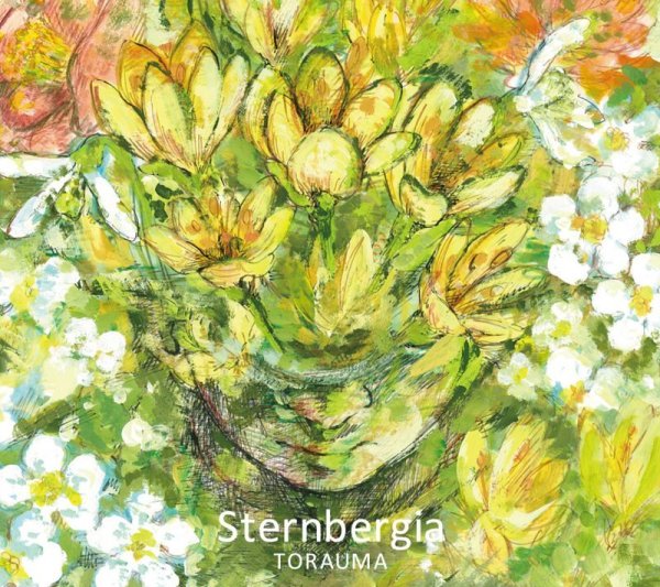 画像1: TORAUMA 『Sternbergia』 (1)