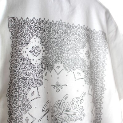 画像2: 【NEWFUNK】BLANK PAISLEY TEE (White)