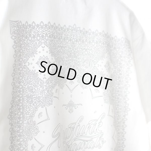 画像5: 【NEWFUNK】BLANK PAISLEY TEE (White) (5)