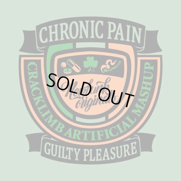 画像5: 【NEWFUNK】CHRONIC HOODIE (Smoky Green) (5)