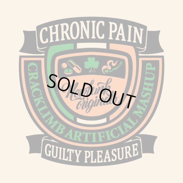 画像5: 【NEWFUNK】CHRONIC HOODIE (Smoky Beige) (5)