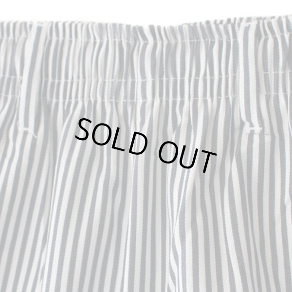 画像4: 【NEWFUNK】Easy Pants (Hickory) (4)