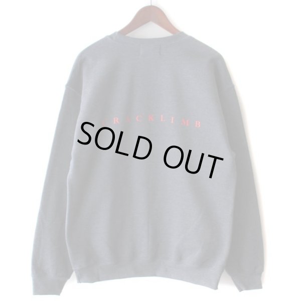 画像2: 【NEWFUNK】EXIT CREW NECK SWEAT (2)