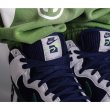 画像6: Nike Dunk High PRM EMB "Sports Specialties" (6)