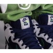 画像6: Nike Dunk High PRM EMB "Sports Specialties" (6)