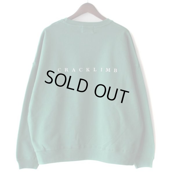 画像2: 【NEWFUNK】McG CREW NECK SWEAT (Ivy Green) (2)