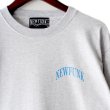 画像3: 【NEWFUNK】RABBIT Long Sleeve Shirt (Light Gray) (3)