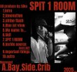 画像2: SHANE.DA.B × 1jiku『SPIT 1 ROOM』(CD-R) (2)