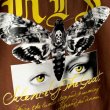 画像5: 【NEWFUNK】GOAT TEE (Brown) (5)