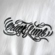 画像3: 【NEWFUNK】MIRROR TEE (White) (3)