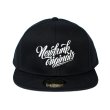 画像2: 【NEWFUNK】HORN SNAPBACK CAP (Black) (2)