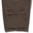 画像5: 【Levi's】Buggy Cargo Shorts (Brown) (5)